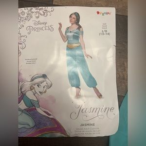 Disney adult Deluxe Jasmine costume w / wig